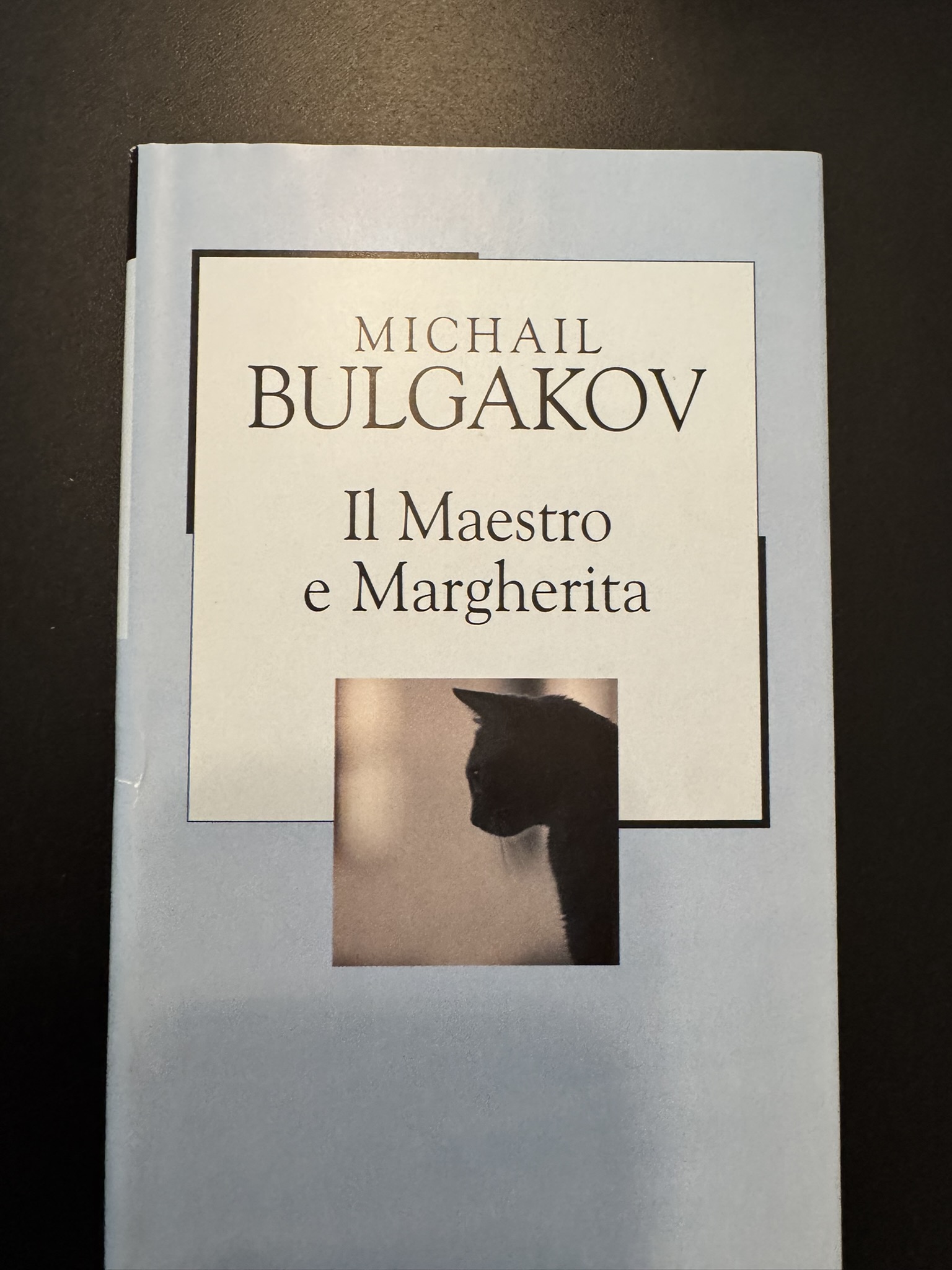 Il Maestro e Margherita